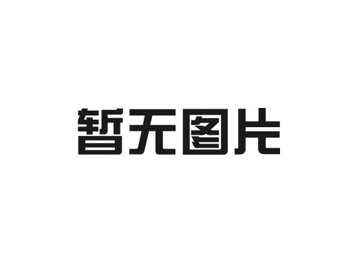 工信部中小企業(yè)局領導來公司調研